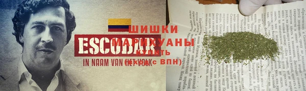 apvp Балахна