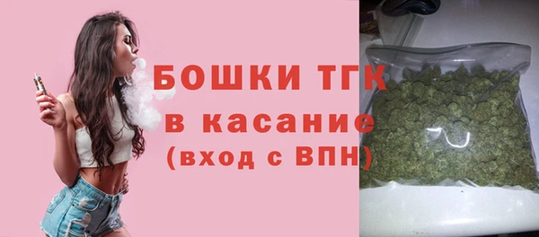 Альфа ПВП Осташков