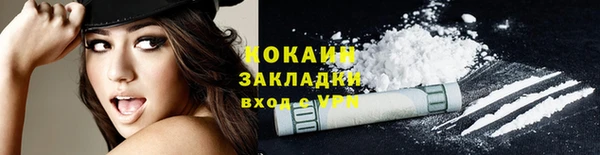 индика Баксан