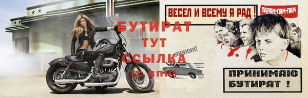 индика Баксан