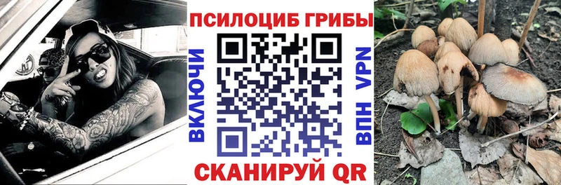 наркотики  Спас-Деменск  Галлюциногенные грибы Psilocybine cubensis 
